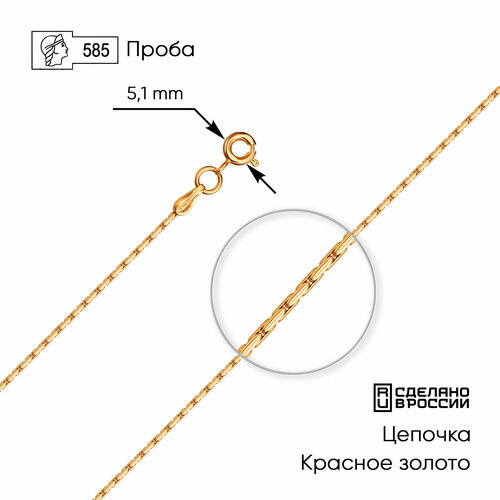 фото Цепь zoloto.gold, золото, 585 проба, длина 40 см., средний вес 1.59 гр.