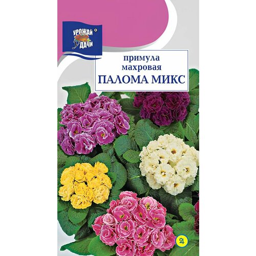 Примула Махровая Палома микс (3 шт) наборы семян цветов примула хит продаж 3 сорта