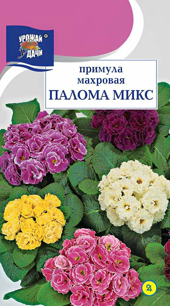 Примула Махровая Палома микс (3 шт)