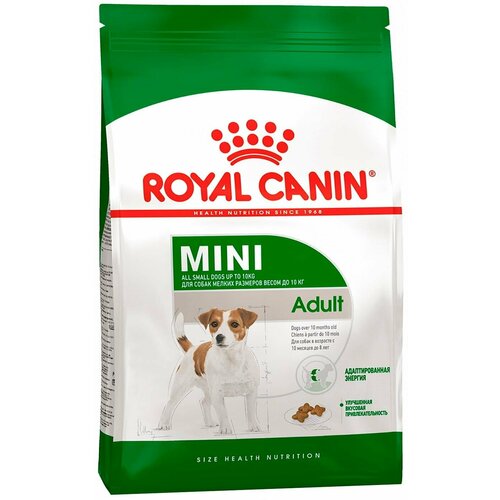 Royal Canin / Сухой корм для собак Royal Canin Mini Adult для мелких пород 800г 2 шт