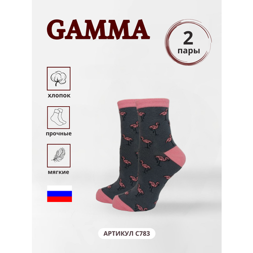 Носки ГАММА, 2 пары, размер 23-25(36-40), серый носки гамма размер 23 25 36 40 серый