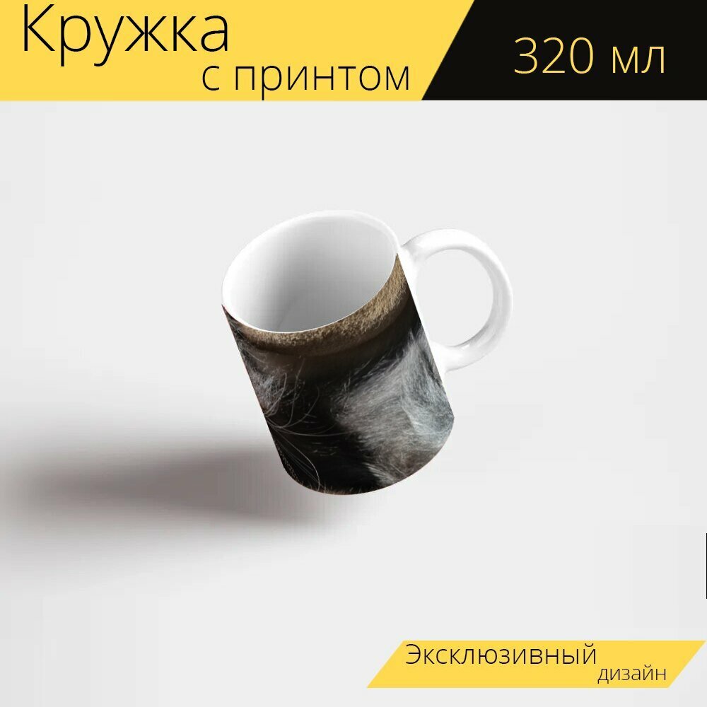 Кружка с рисунком, принтом "Кошка, котенок, домашний питомец" 320 мл.