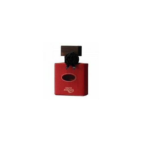 Туалетные духи David Jourquin Cuir de R`eve100 мл