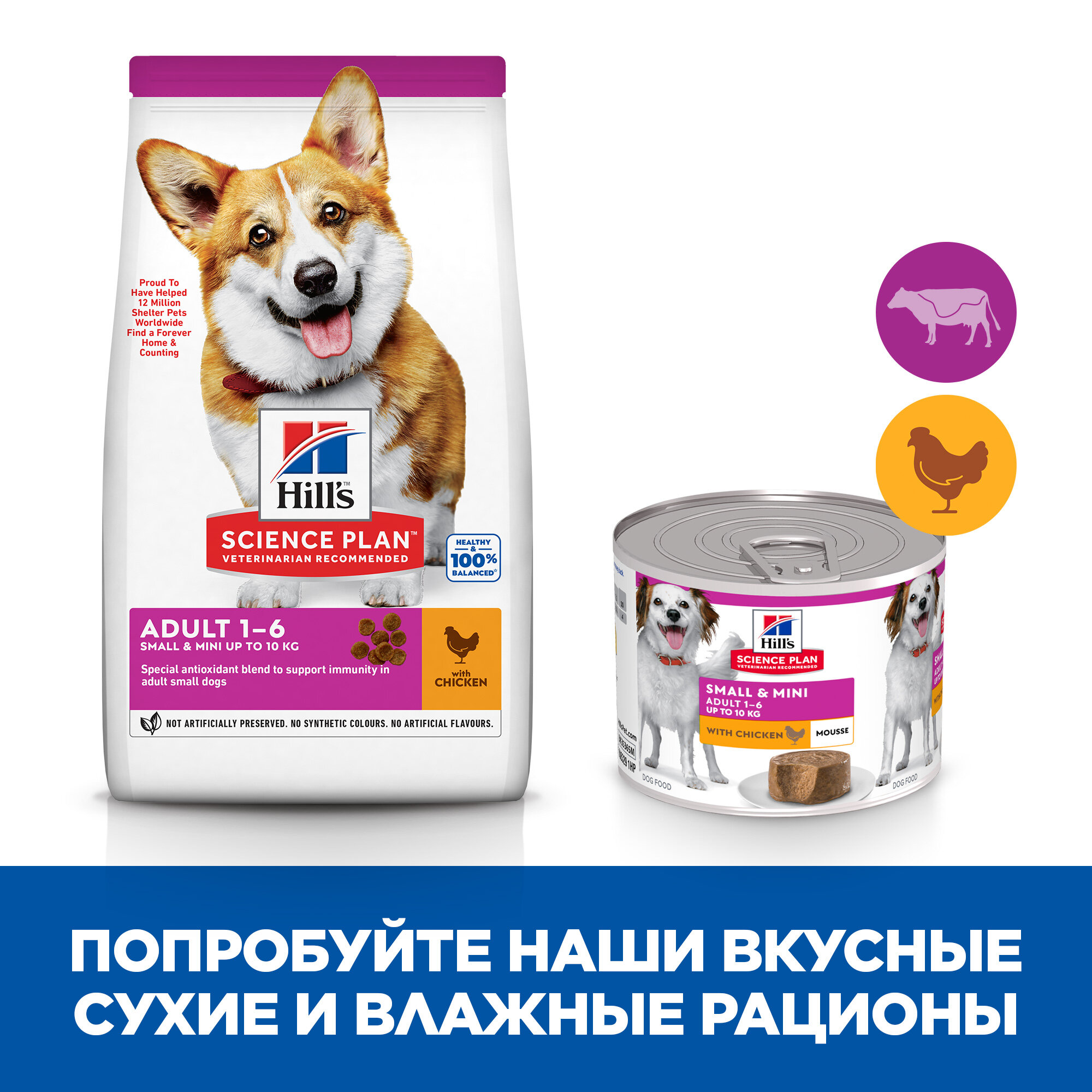 Hill's Science Plan Adult Small & Miniature консервы для собак мелких и миниатюрных пород (Курица, 200 г.) - фото №6