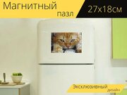 Магнитный пазл "Кошка, ру, кот" на холодильник 27 x 18 см.