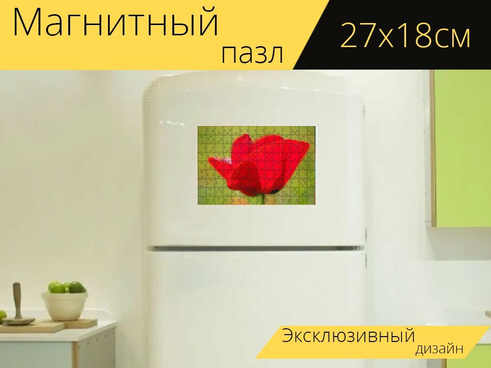 Магнитный пазл "Цветок мака, мак, красный мак" на холодильник 27 x 18 см.