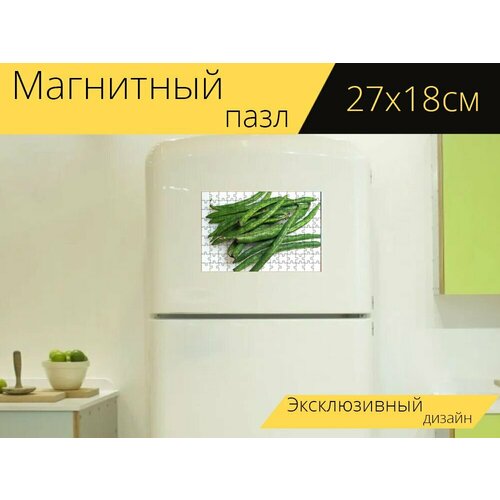 Магнитный пазл Стручковая фасоль, фасоль, свежий на холодильник 27 x 18 см. фасоль стручковая быстрозамороженная 1 кг