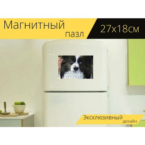 Магнитный пазл Собака, папильон, домашний питомец на холодильник 27 x 18 см. магнитный пазл папильон домашний питомец собака на холодильник 27 x 18 см