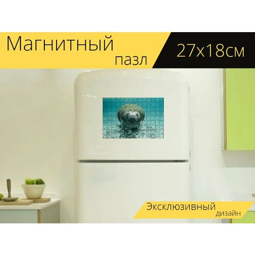 Магнитный пазл Ламантин, подводный, море на холодильник 27 x 18 см. магнитный пазл ламантин млекопитающее подводный на холодильник 27 x 18 см
