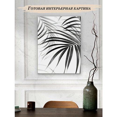 Картины для интерьера 30х40 Черно-белый фон лист хамедорея