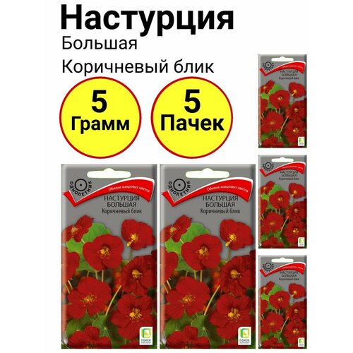 Настурция большая Коричневый блик 1 грамм, Поиск - 5 пачек гелихризум королевский размер красный 0 1 грамм поиск 5 пачек