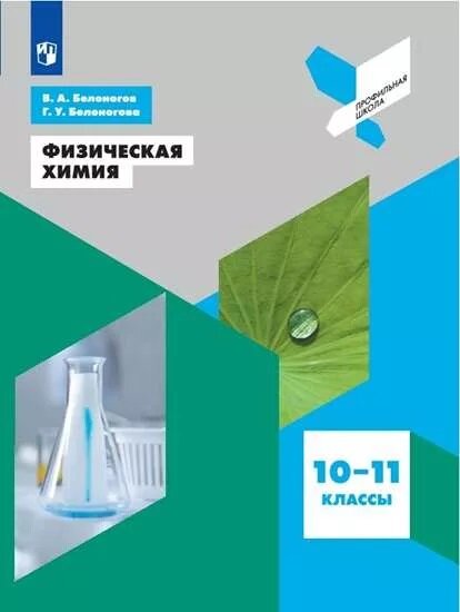 Физическая химия. 10-11 классы. Учебное пособие - фото №2