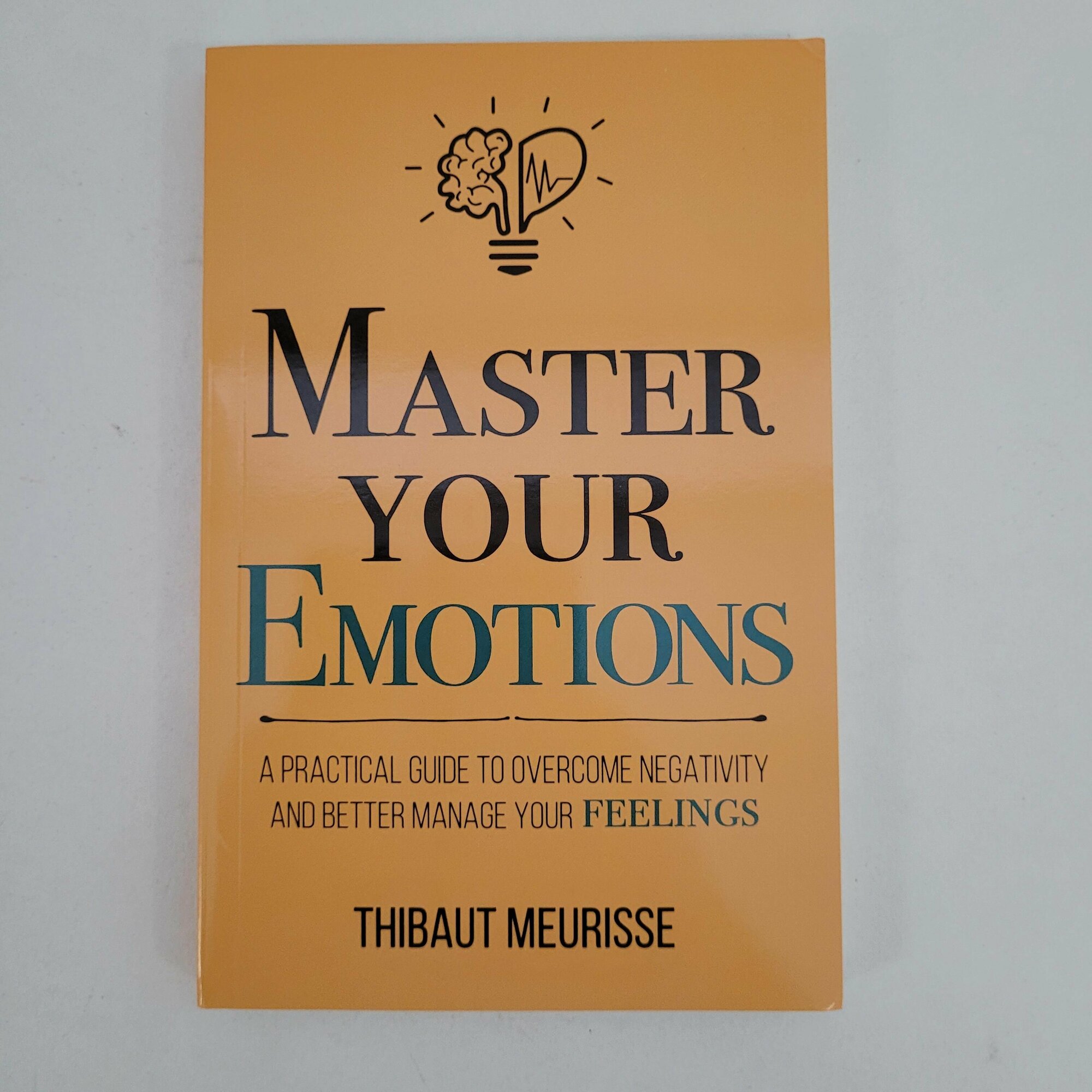 Thibaut Meurisse. Master Your Emotions