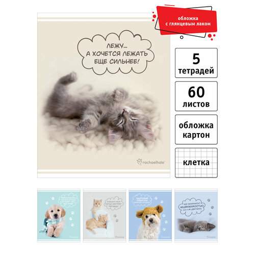 Тетрадь общая 60 листов, А5, клетка, на скрепке,5 шт, Rachael Hale, RH67/5