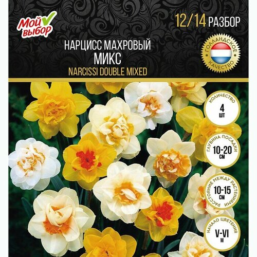 Нарцисс махровый Микс, р-р 12/14, 4 шт