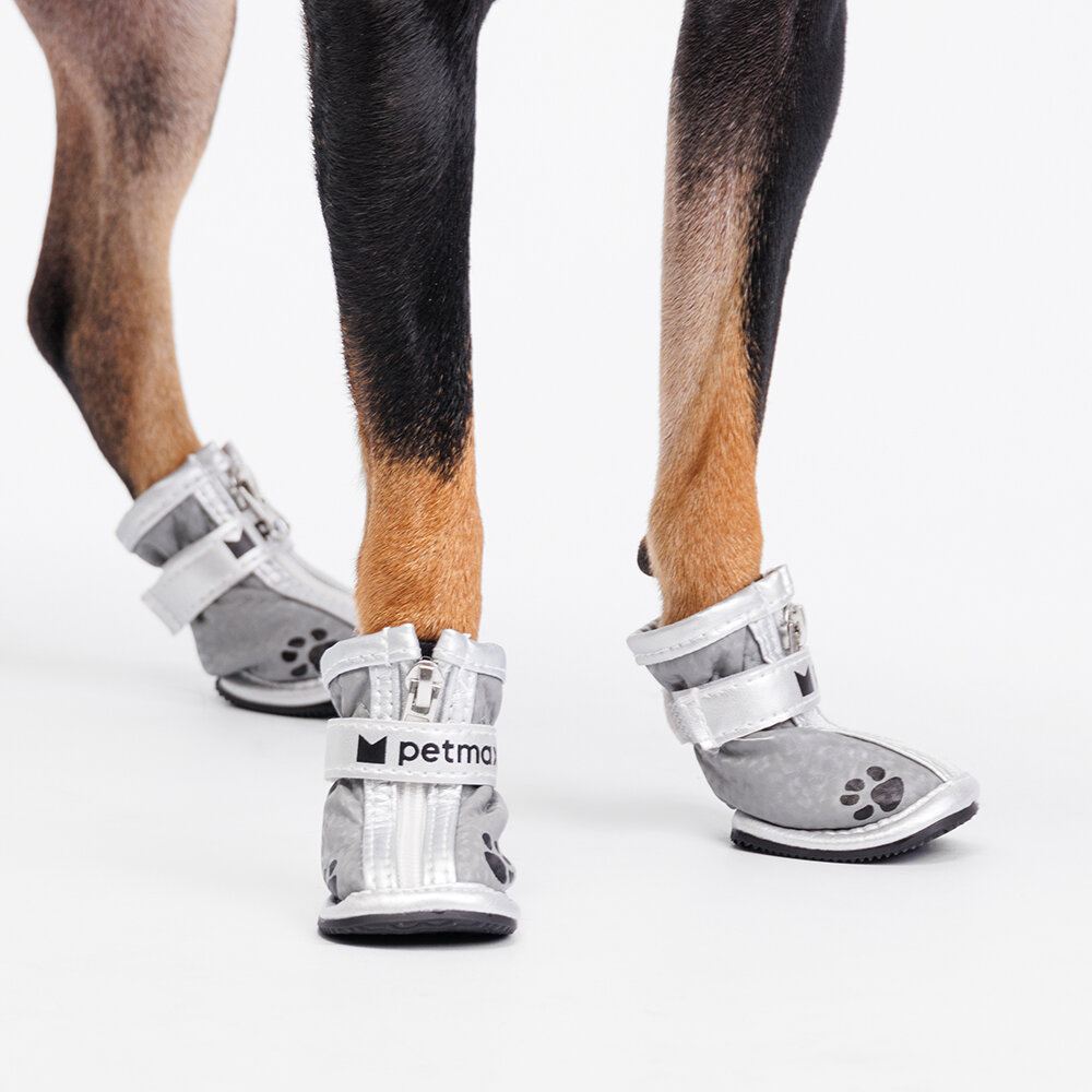 Petmax Ботинки для собак M с лапкой, серебряные - фото №3