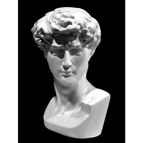Гипс. Бюст Давид (малый), h=19,5 см, Экорше, артикул 10-185