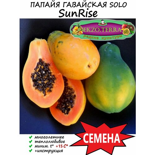 семена папайя sunset папайя гавайская 5 шт Семена Папайя SunRise гавайская (Solo) - карликовый сорт. 5 шт.