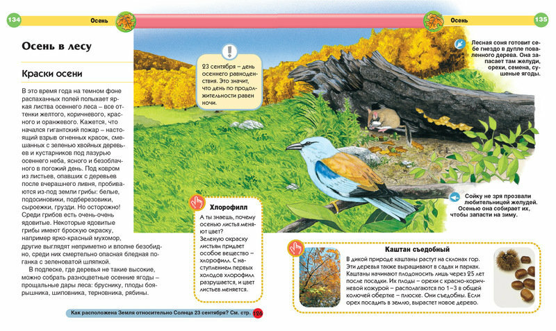 Современная детская энциклопедия - фото №5