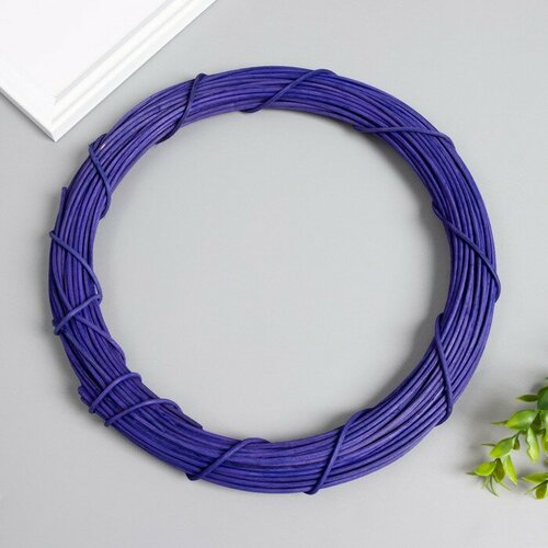 Кольцо ротанг для изготовления ловца снов Фиолетовый d25 см 608₽