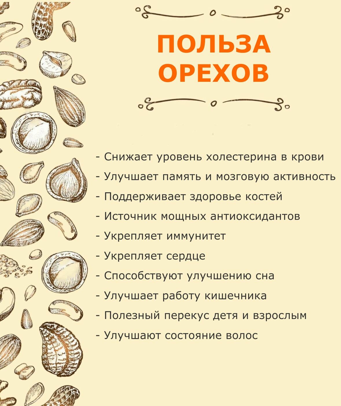 Грецкий орех в скорлупе крупный 1 кг / 1000 г - фотография № 3