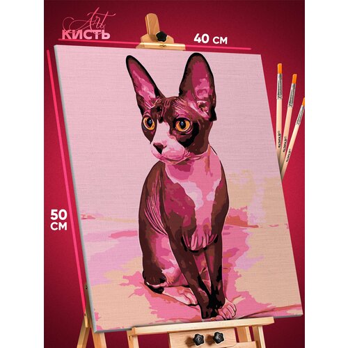 кошка сфинкс раскраска картина по номерам на холсте Картина по номерам на холсте Сфинкс Животные Кот Кошка
