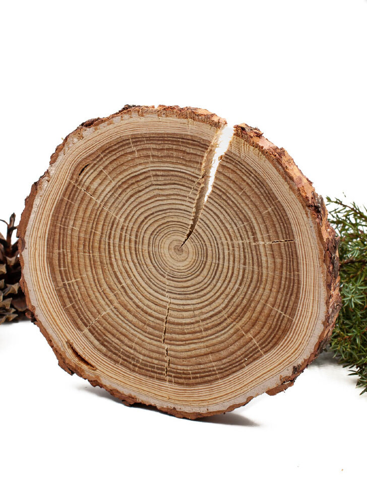фото Спил натуральный эко-кругляшок лиственницы 1шт Диаметр 27-30см, толщина 8/10см