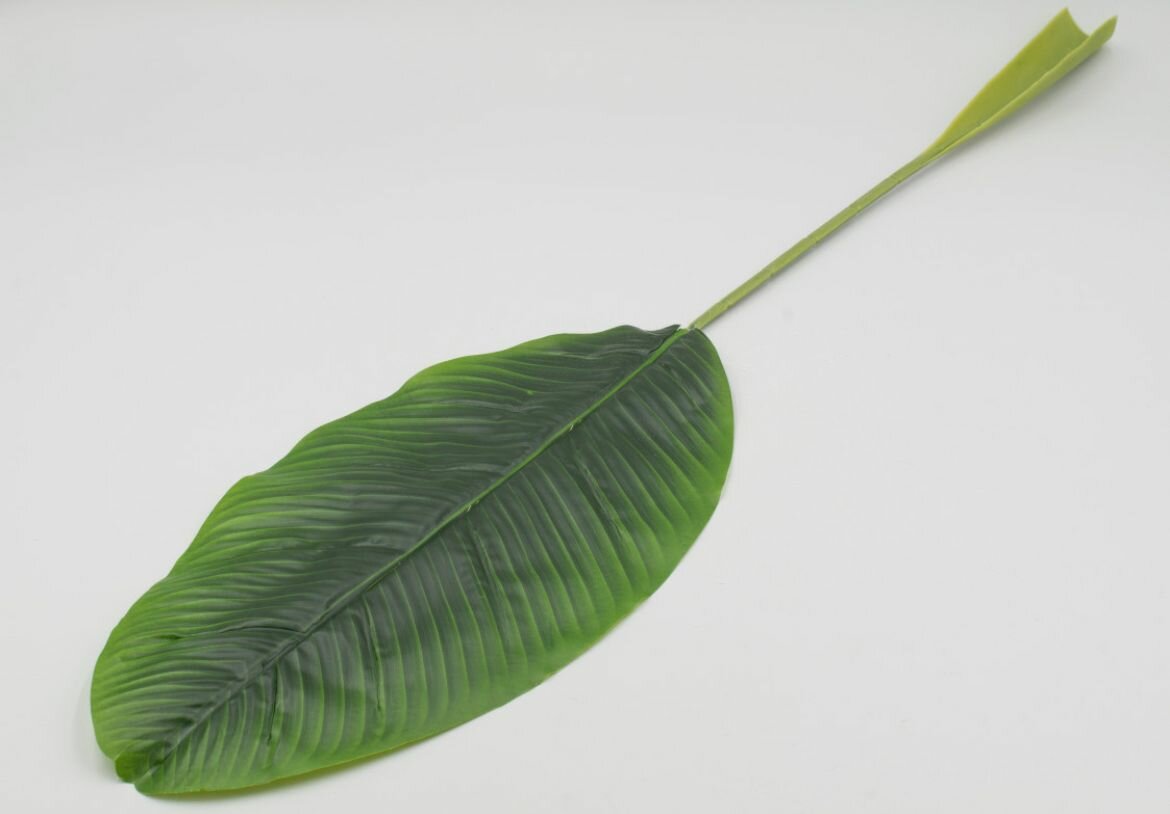 Одиночный лист банановой пальмы Бали 79 см