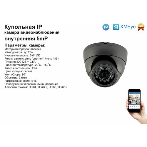 DVS300IP5MP Внутренняя IP камера 5мП с ИК до 20м 3425₽