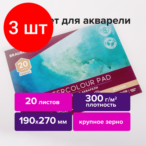 Комплект 3 шт, Папка для акварели/планшет, 300 г/м2, 190х270 мм, склейка, крупное зерно, 20 л, BRAUBERG ART PREMIERE, 113247 комплект 3 шт альбом для акварели бумага 300 г м2 190х270 мм мелкое зерно 20 листов склейка brauberg art premiere 113224