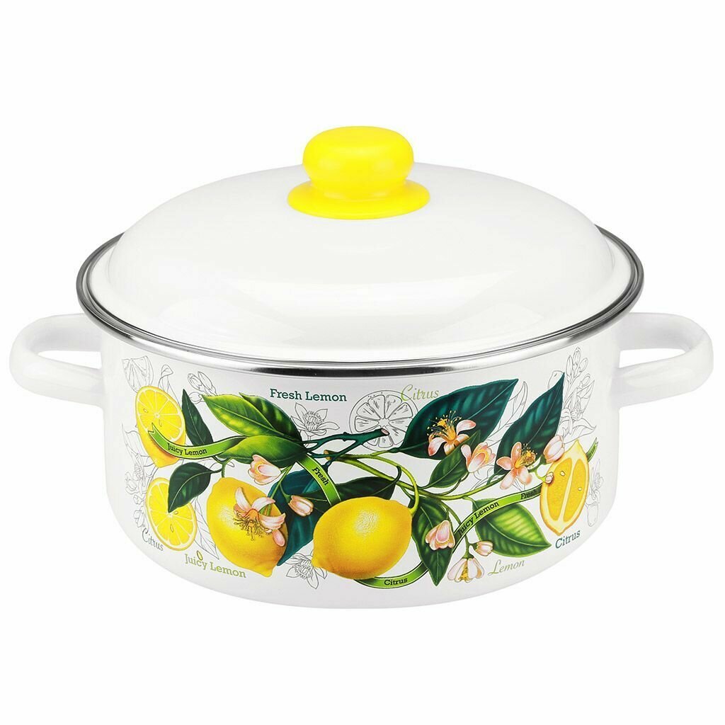 Кастрюля Лимоны в цвету 4 л (арт. 1RВ221М)