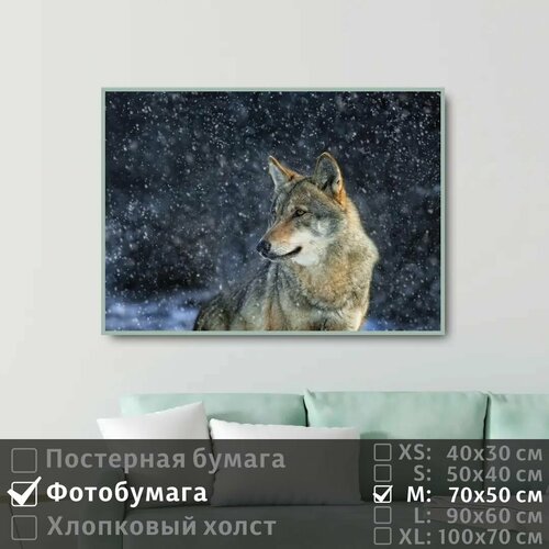 Постер на фотобумаге Одинокий Волк В Зимнем Лесу 70х50 см ПолиЦентр