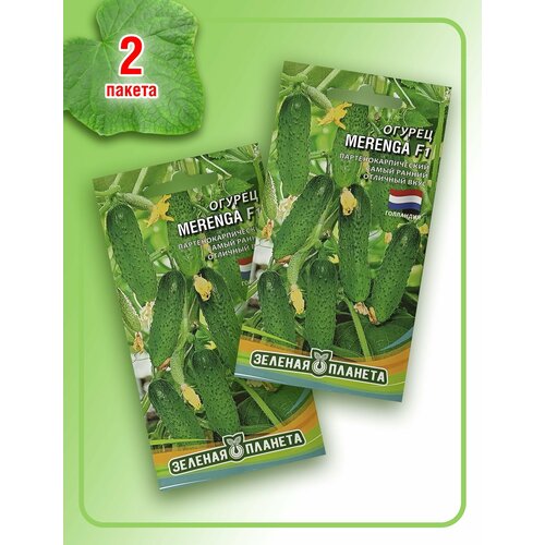 Огурец Меренга F1 (2 пакета по 8 семян)