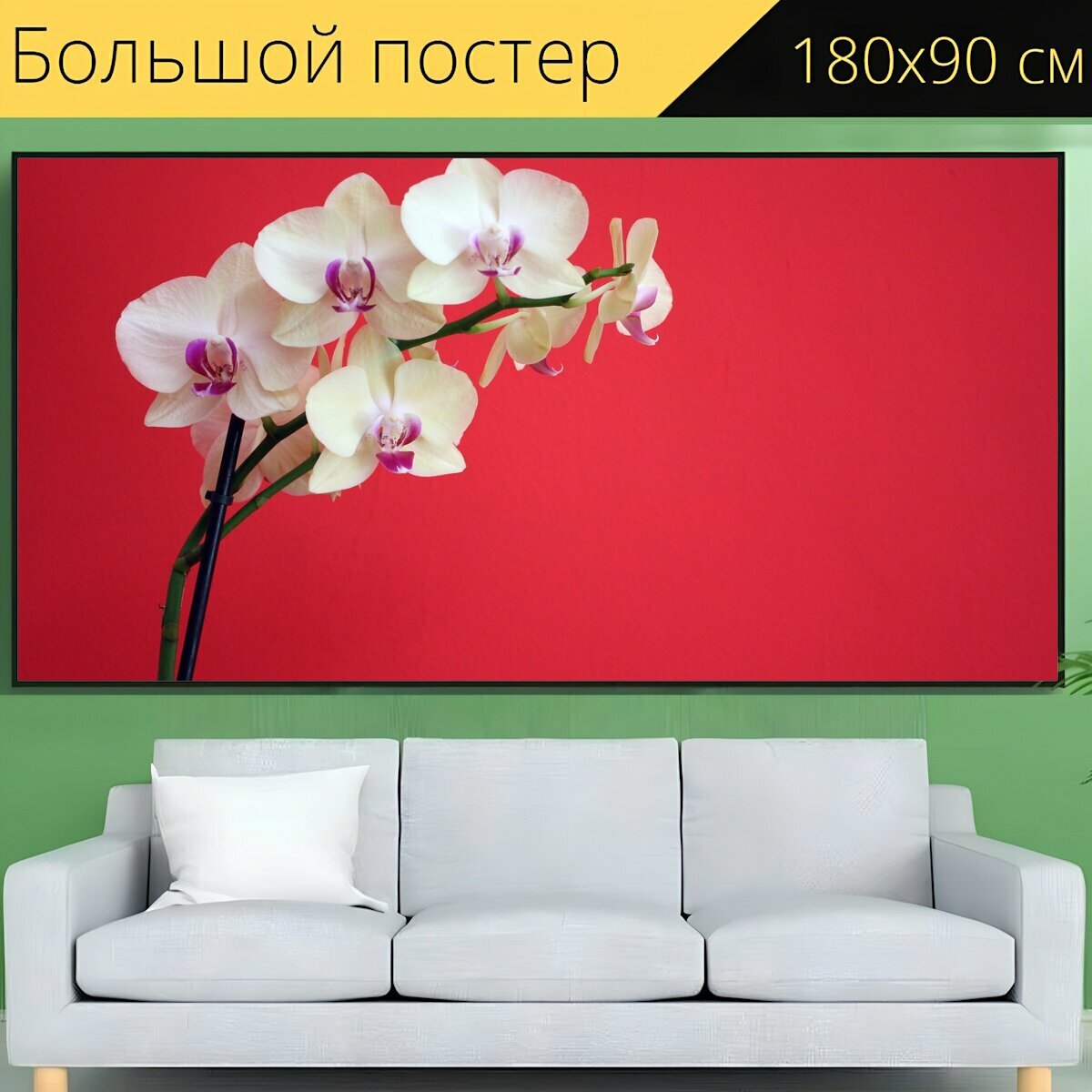 Большой постер "Орхидея, цветок, завод" 180 x 90 см. для интерьера