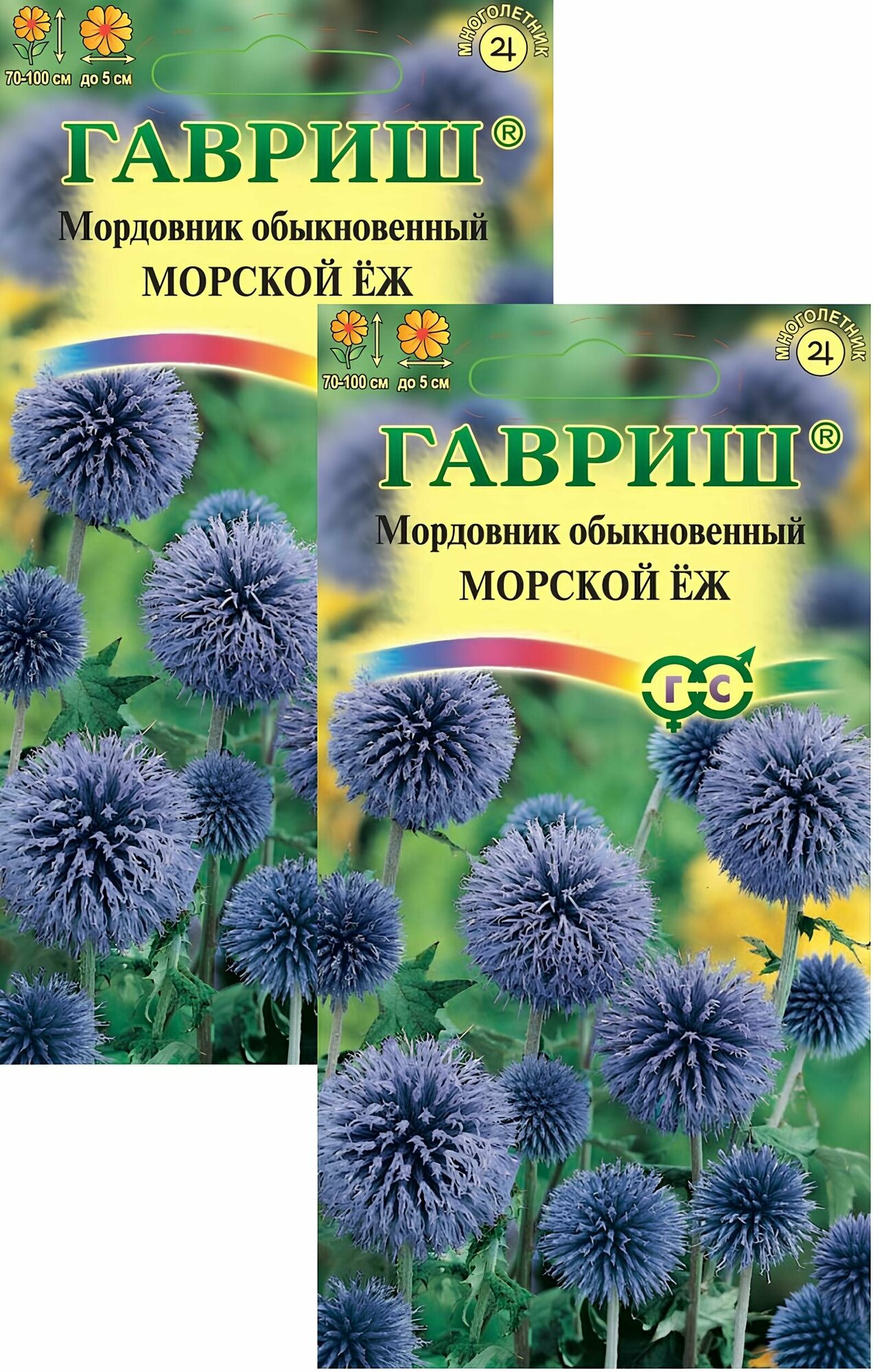 Мордовник Морской еж (03 г) 2 пакета