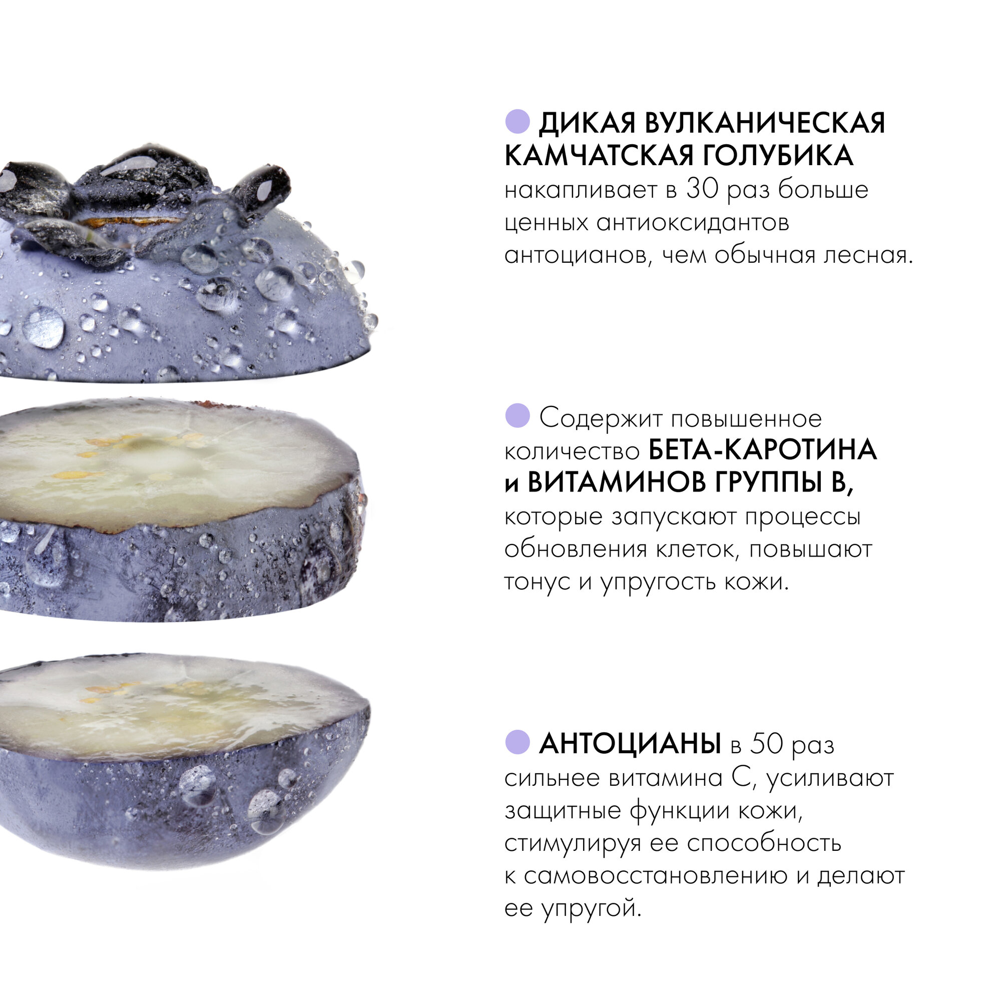 Ночная крем-маска для лица Natura Siberica Blueberry Siberica обновляющая, 50 мл