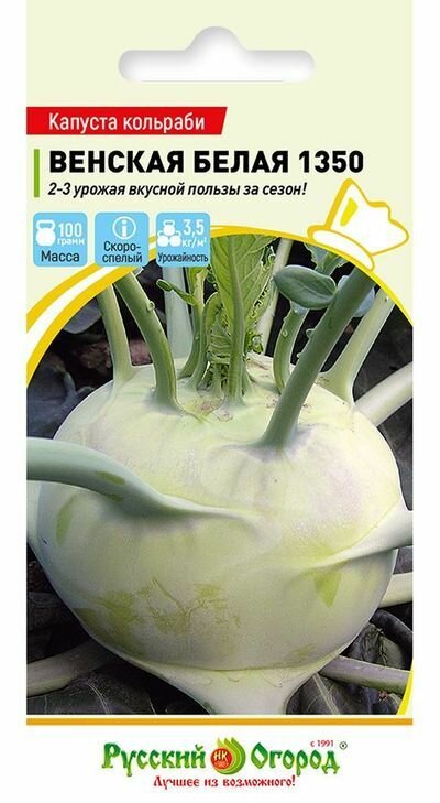 Капуста кольраби Венская белая 1350