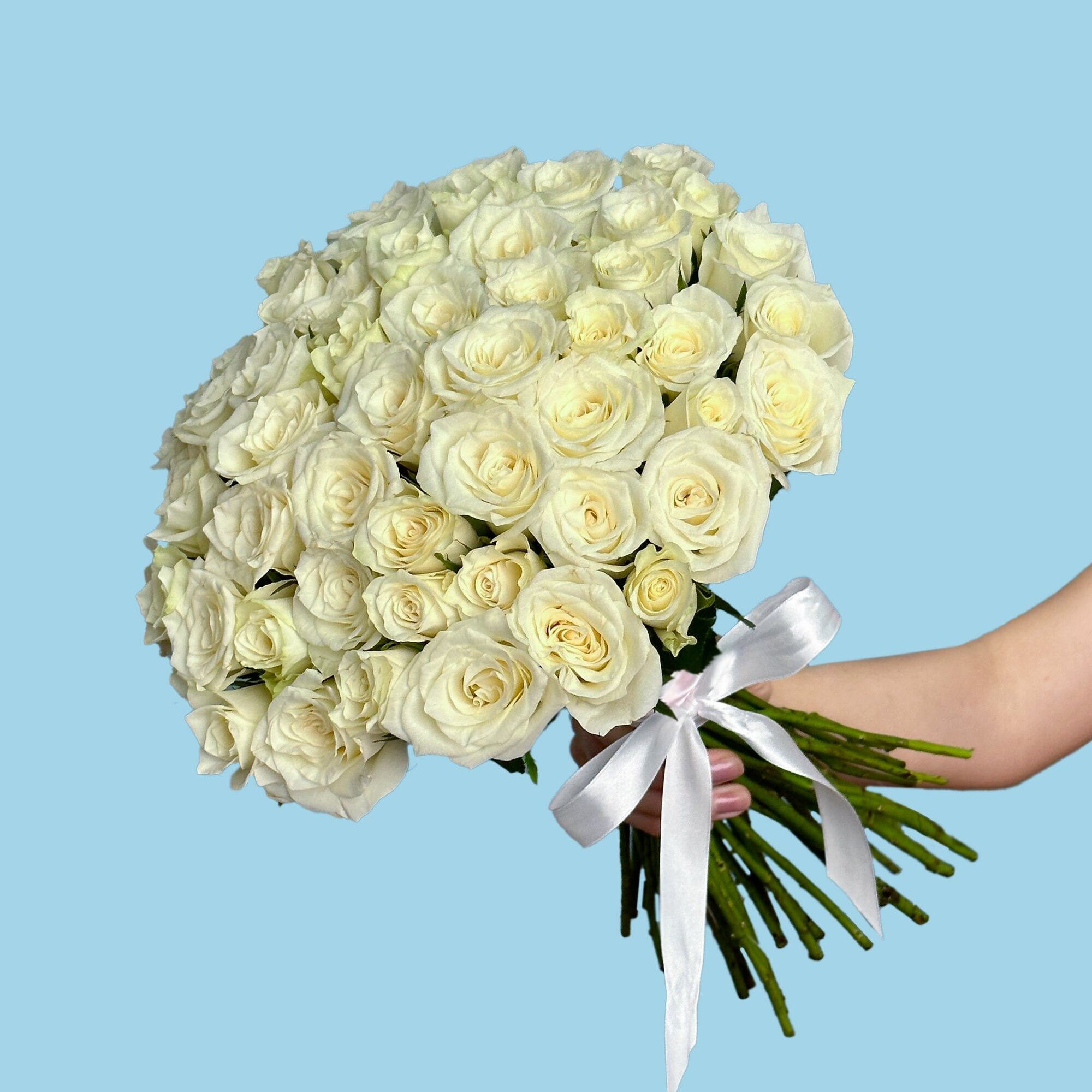 Букет живых цветов из 51 белой розы 40 см в ленте с доставкой