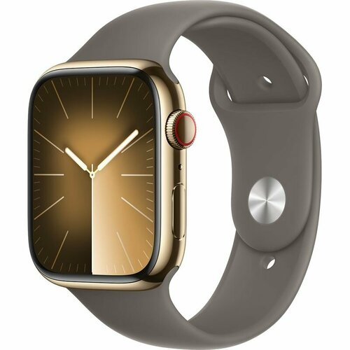 Умные часы Apple Watch Series 9 GPS + Cellular, 45mm Stainless Steel Gold с коричневым ремешком M/L