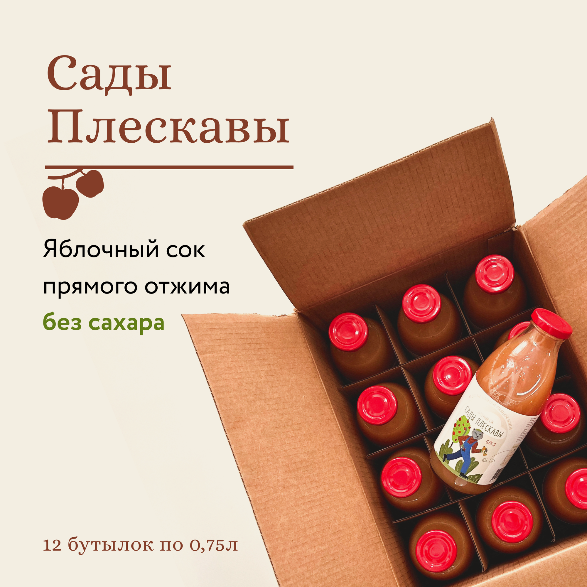 Сок яблочный «Сады Плескавы» натуральный прямого отжима без сахара 1 коробка (12 бутылок по 0,75 л)