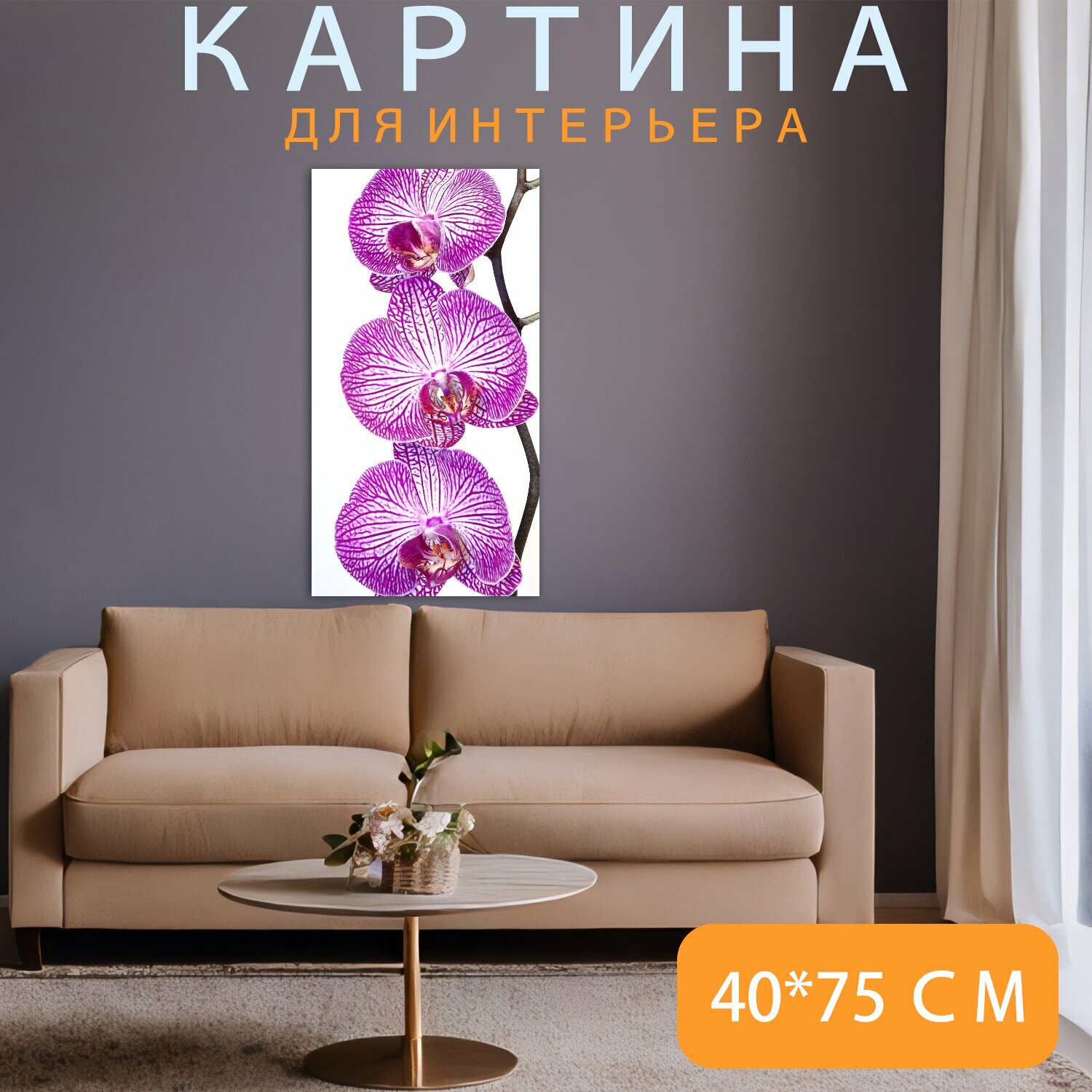 Картина на холсте "Орхидея, фаленопсис, розовый" на подрамнике 40х75 см. для интерьера