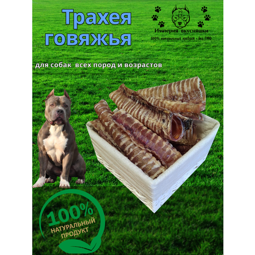 Лакомство для собак Трахея говяжья 600г. лакомство для собак мнямс трахея говяжья 600г