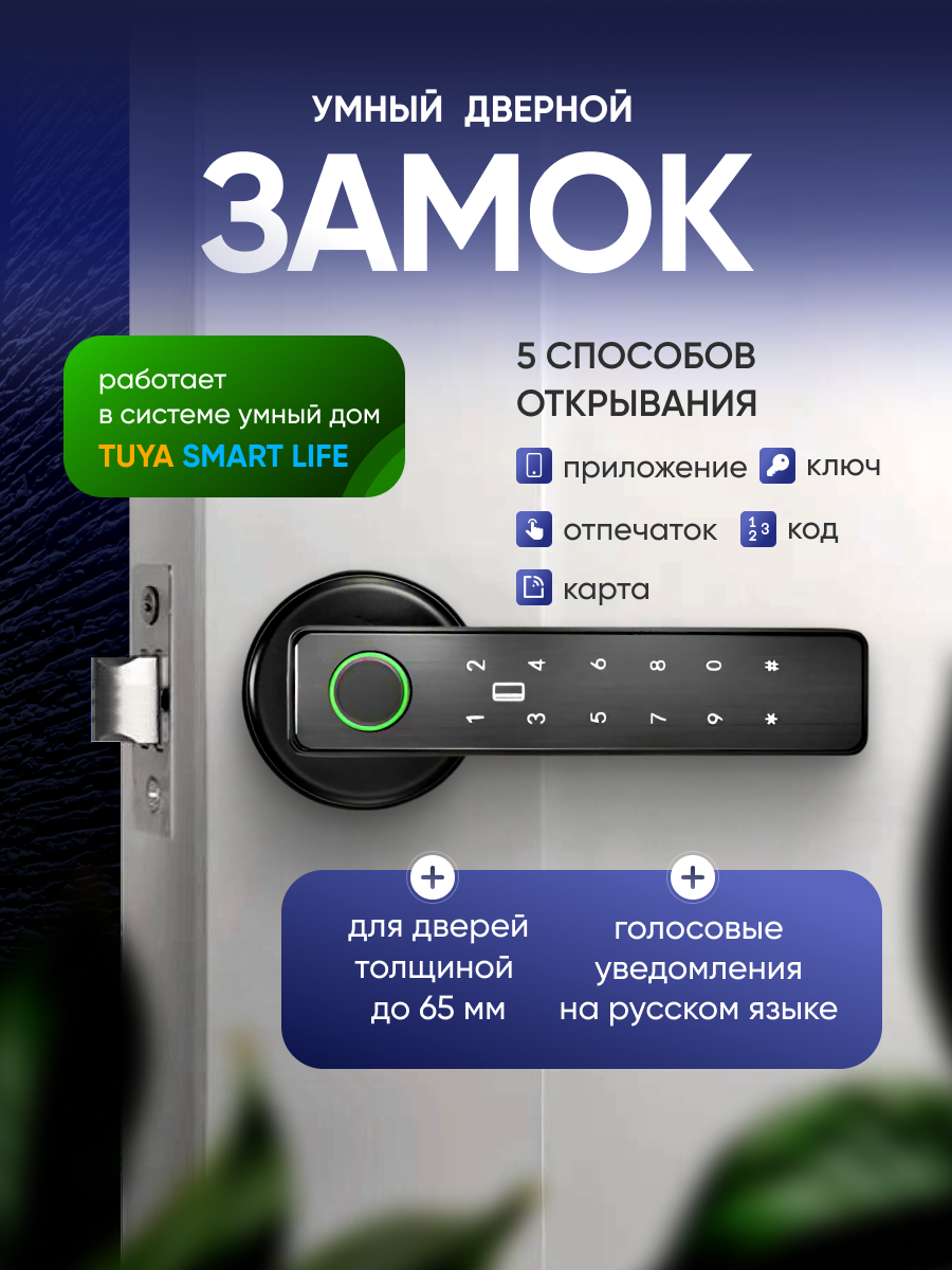 Умная дверная ручка с биометрией, электронный замок Tuya Smart Life