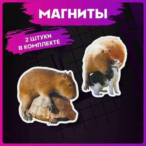 Магниты для доски Капибара 280₽