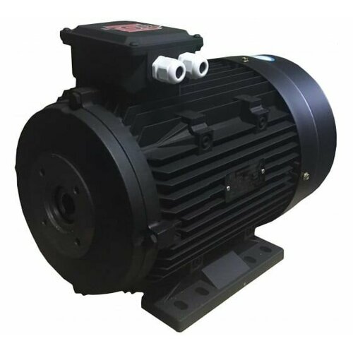 Электродвигатель TOR 75 кВт с полым валом 24мм фланец D87мм 56000₽