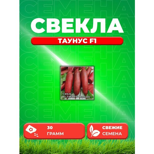 Свекла Таунус F1 25,0 г (Голландия)