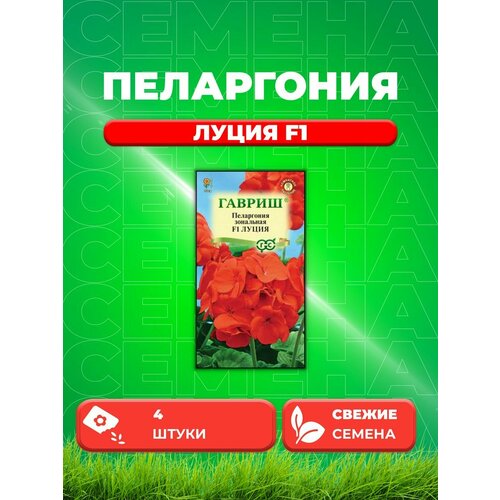 Пеларгония Луция F1 зональная* 4 шт.