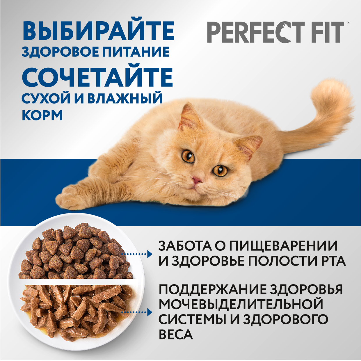 Корм PerfectFit для домашних кошек с курицей 1.2 кг PERFECT FIT - фото №12