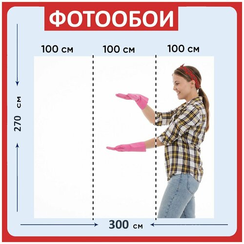 Фотообои Девушка белый женщина 300x270 см флизелиновыена стену 2940₽