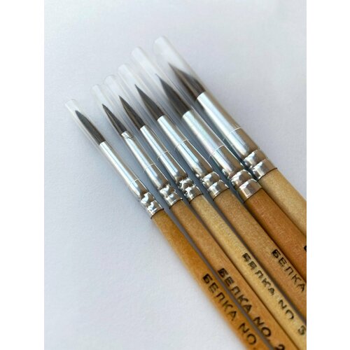 Набор кистей для рисования из волоса белки 6 шт в блистере 265₽